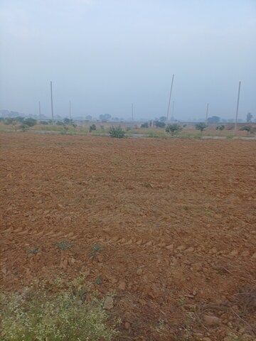  Plot – Exterior View View at Jewar - for Sale