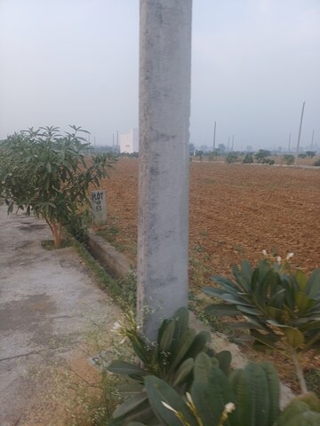  Plot For Sale in Jewar