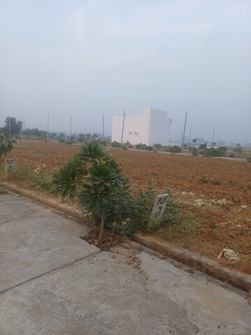  Plot For Sale in Jewar