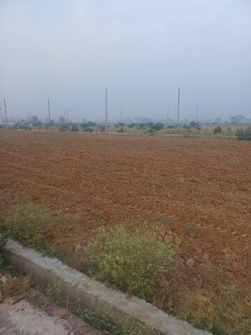  Plot – Exterior View View at Jewar - for Sale