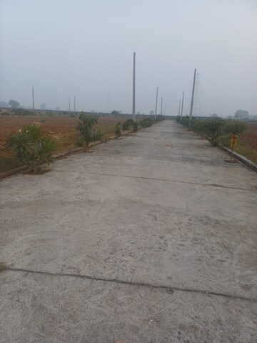  Plot – Exterior View View at Jewar - for Sale