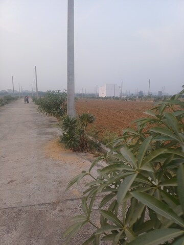  Plot For Sale in Jewar