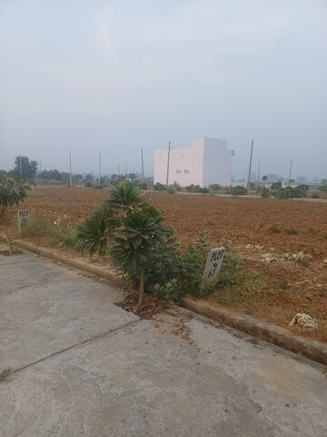  Plot – Exterior View View at Jewar - for Sale