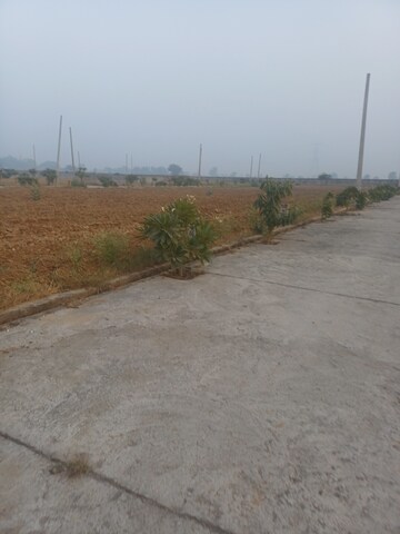  Plot – Exterior View View at Jewar - for Sale