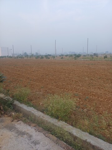  Plot – Exterior View View at Jewar - for Sale