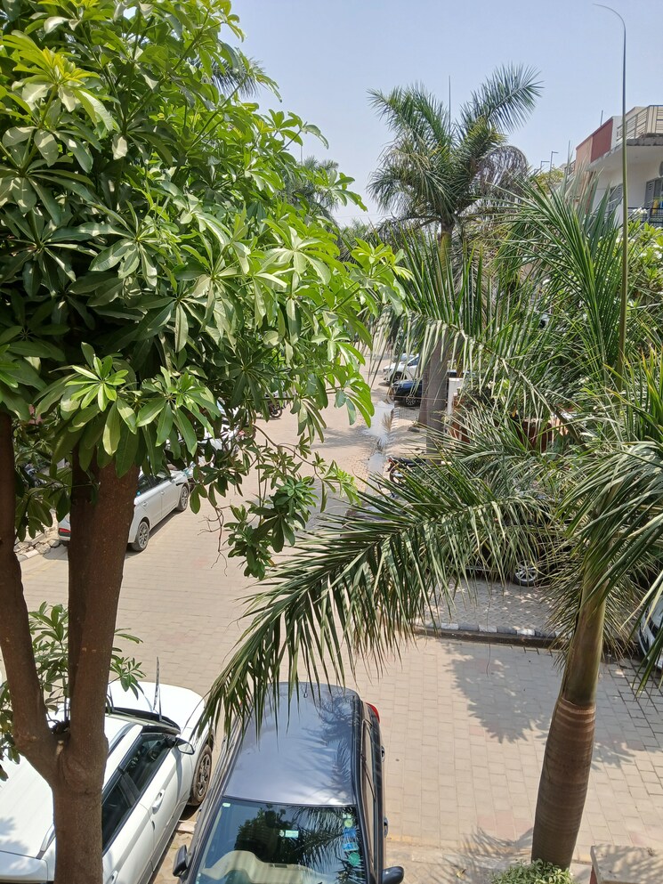 Exterior View, unitech-deerwood-chase 3 Bedroom 2400 Sq.Ft. Builder Floor In Nirvana Country Gurgaon 9723890