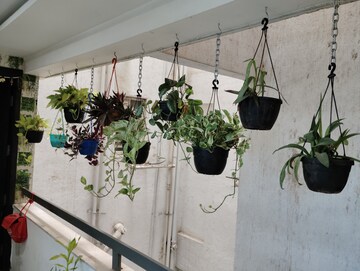 3.5 BHK Apartment – Exterior View View at Chandrarang Wisdom Park, Balewadi - for Sale