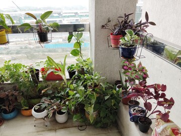 3.5 BHK Apartment – Exterior View View at Chandrarang Wisdom Park, Balewadi - for Sale