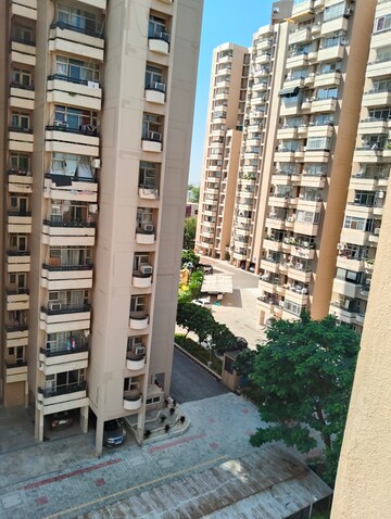 1 BHK Apartment For Rent in Ansal Sushant Estate, Sector 52