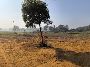 Plot Area in  Land at Pataudi – for Sale