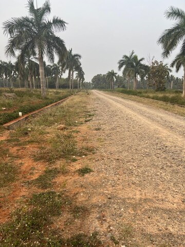 Plot Area in  Plot at Bhogapuram – for Sale