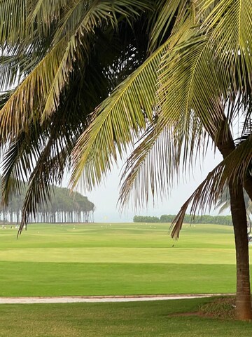  Plot – Exterior View View at Bhogapuram - for Sale