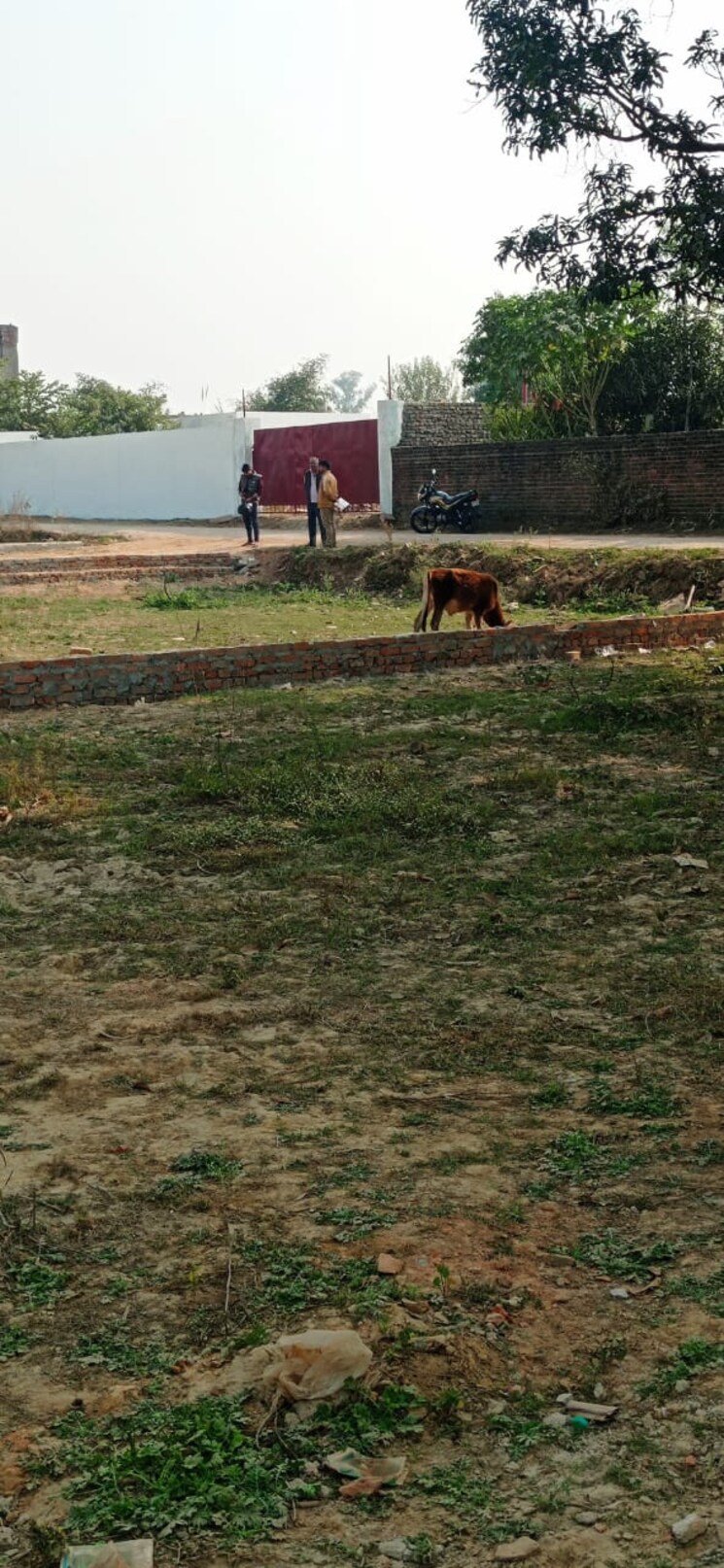 Cover Image, faizabad road  975 Sq.Ft. Plot In Faizabad Road Lucknow 9724426