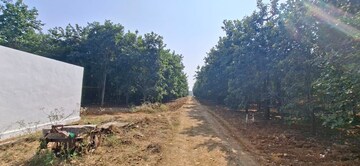 Plot Area in  Plot at Chitkul – for Sale