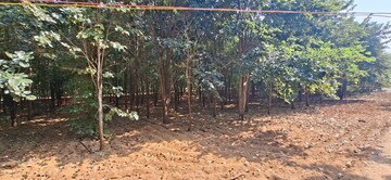 Plot Area in  Plot at Chitkul – for Sale