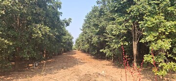 Plot Area in  Plot at Chitkul – for Sale