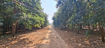 Plot Area in  Plot at Chitkul – for Sale