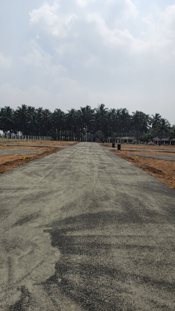  Plot For Sale in Kinathukadavu