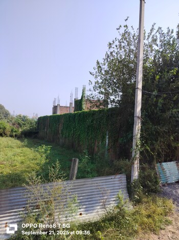 Plot for Sale in Sector 27 Yamuna Expressway, Greater Noida