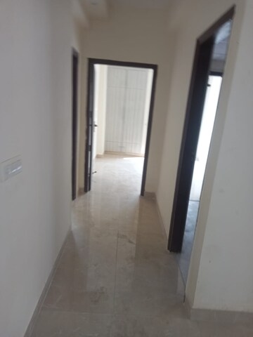 2 BHK Apartment For Rent in Sikka Karnam Greens, Sector 143b