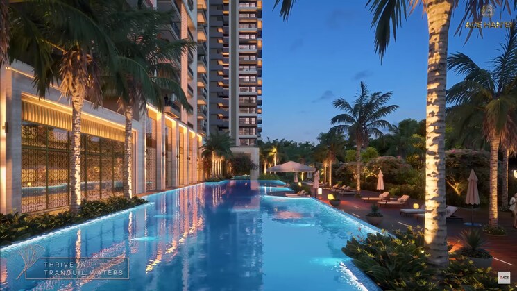 Swimming Pool, ace-terra 3 Bedroom 1770 Sq.Ft. Apartment In Sector 22d Yamuna Expressway Greater Noida 9725004