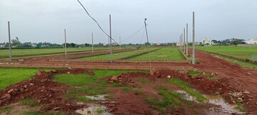 Plot Area in  Plot at Ranga Bazar – for Sale