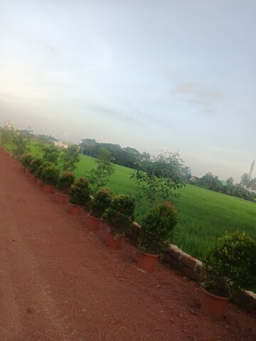 Plot Area in  Plot at Ranga Bazar – for Sale