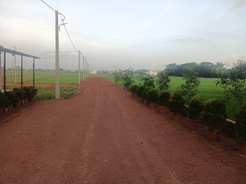 Plot Area in  Plot at Ranga Bazar – for Sale