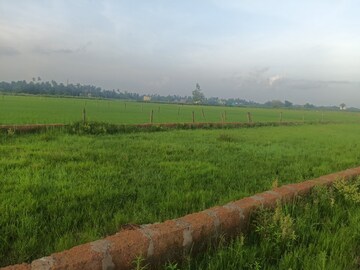 Plot Area in  Plot at Ranga Bazar – for Sale