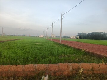 Plot Area in  Plot at Ranga Bazar – for Sale