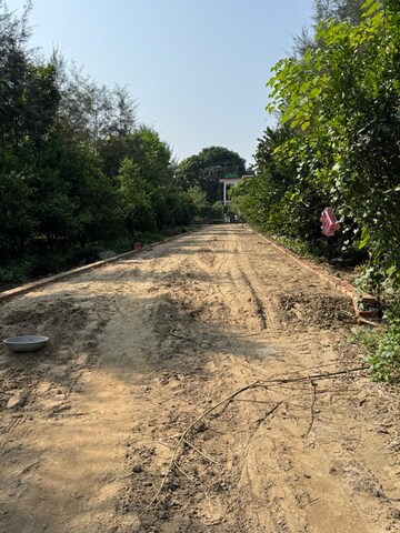 Plot Area in  Plot at Behat Road – for Sale