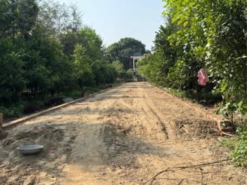 Plot Area in  Plot at Behat Road – for Sale