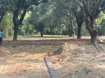 Plot Area in  Plot at Behat Road – for Sale