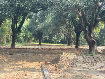  Plot For Sale in Behat Road