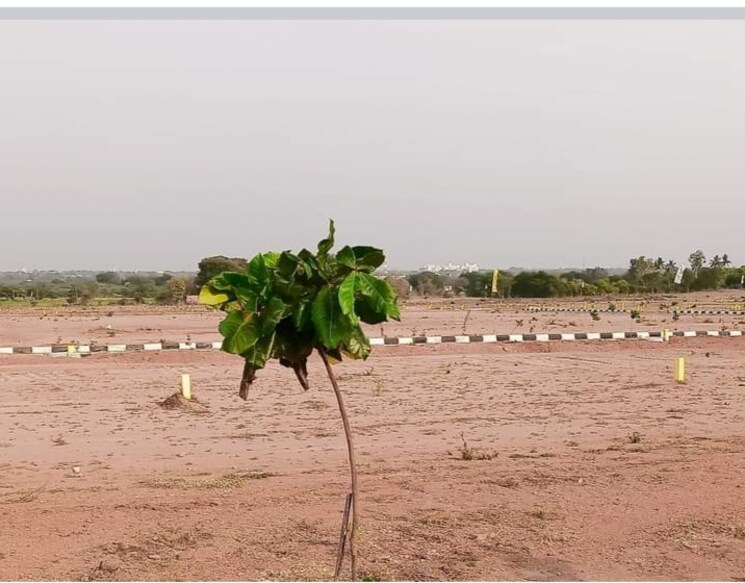 undefined, shadnagar  263 Sq.Yd. Plot In Shadnagar Hyderabad 9725864