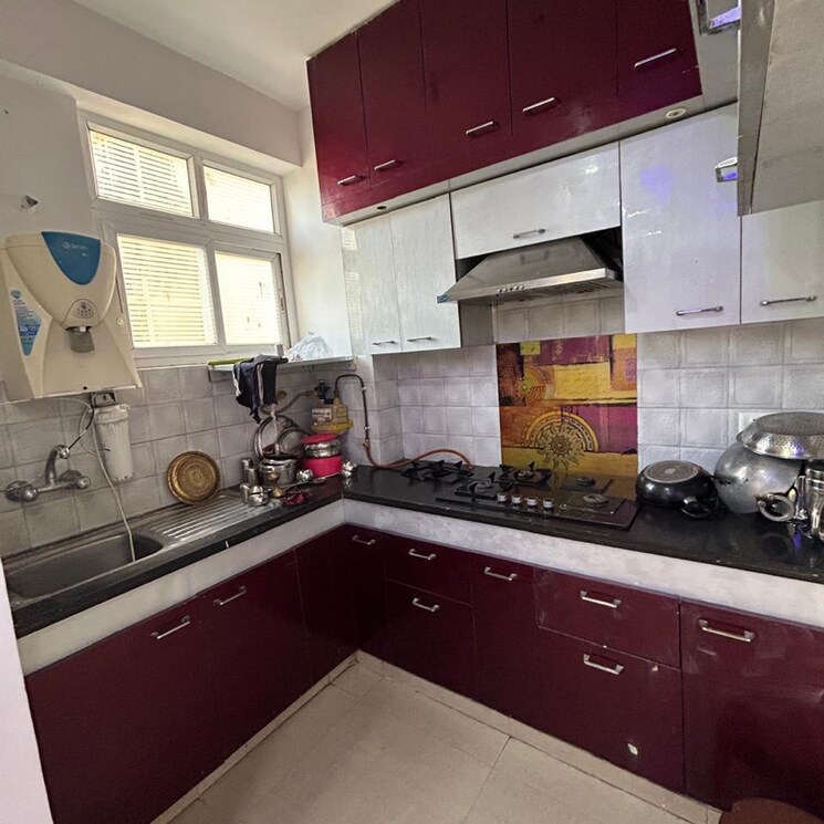 Kitchen, nirala-world-estate-i 2 Bedroom 955 Sq.Ft. Apartment In Amrapali Dream Valley Greater Noida 9726850