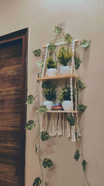  Pg For Rent in Vineet Khand