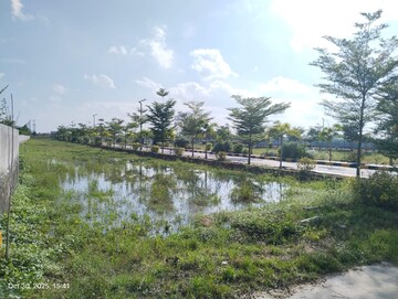 Plot Area in  Plot at Thimmapur – for Sale