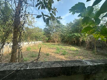 Plot Area in  Plot at Velappaya – for Sale