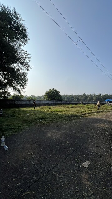 Plot Area in  Plot at Mundoor – for Sale