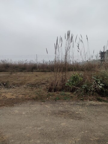  Plot For Sale in Sector 26