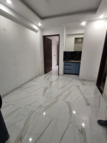 1 BHK Apartment For Rent in Saket