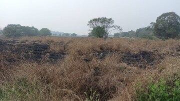 Plot Area in  Plot at Ekdant Om Sai, Pen – for Sale