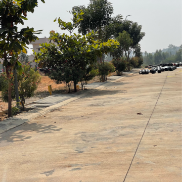  Plot For Sale in Chikka Tirupathi