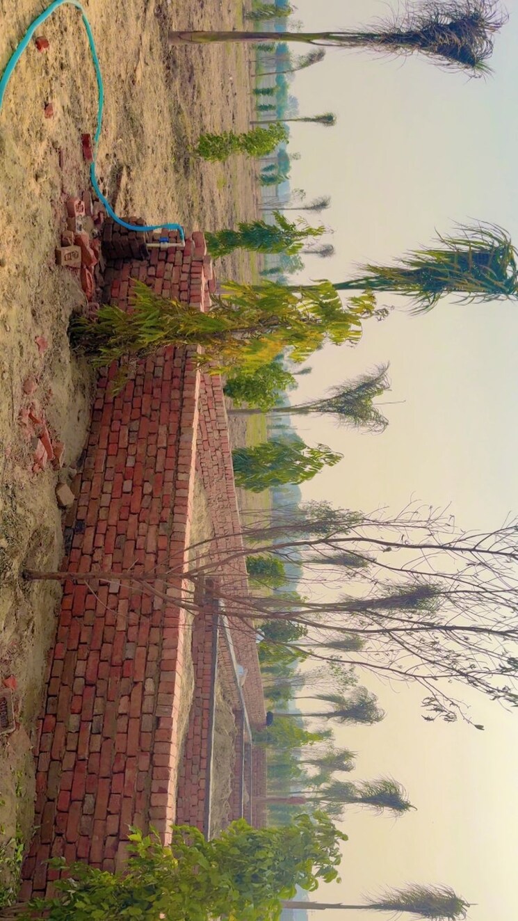 Garden, jdia-dream-city  100 Sq.Yd. Plot In Jewar Greater Noida 9728412