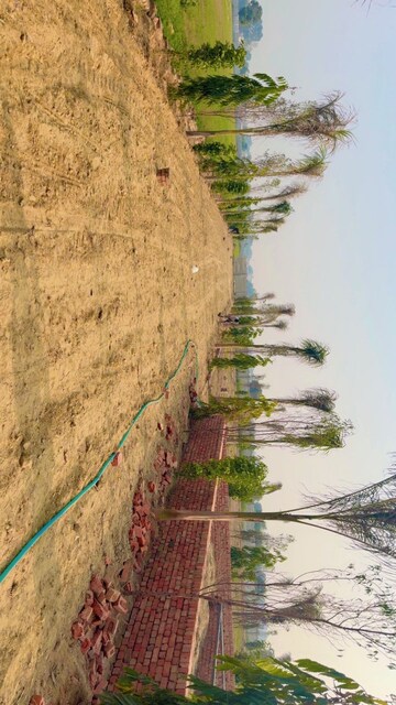  Plot – Exterior View View at JDIA Dream City, Jewar - for Sale