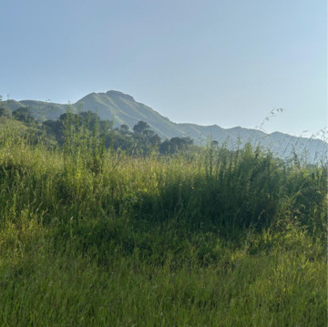  Land For Sale in Velhe