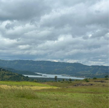 Plot Area in  Land at Velhe – for Sale