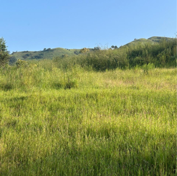 Plot Area in  Land at Velhe – for Sale