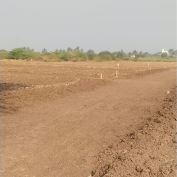 Plot Area in  Land at Wagholi – for Sale